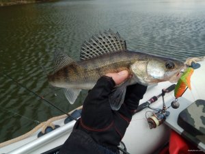 IMG_20191001_110131.jpg