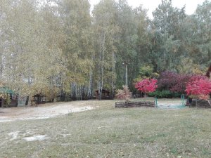 IMG_20191005_104910.jpg