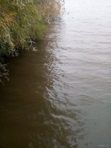 IMG_20191006_080222.jpg