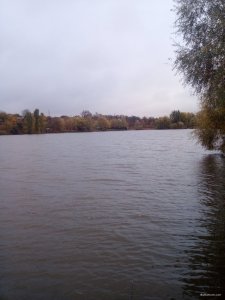 IMG_20191006_080214.jpg