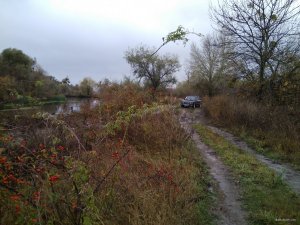 IMG_20191006_085146.jpg