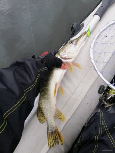 IMG_20191006_150426.jpg