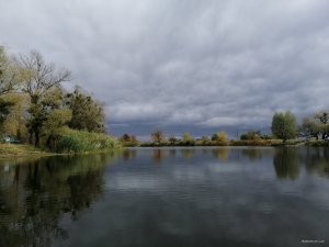 IMG_20191006_142136.jpg