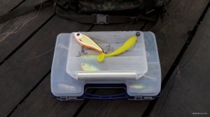 20191005_083825.jpg