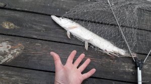 20191005_095646.jpg