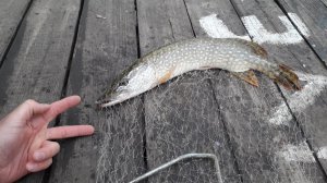 20191005_131305.jpg