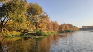 IMG_20191003_075620.jpg