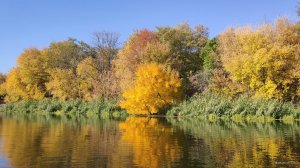IMG_20191003_091331.jpg