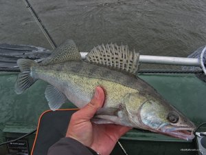IMG_5075.JPG