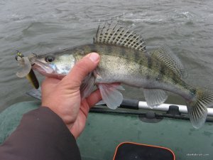 IMG_5078.JPG