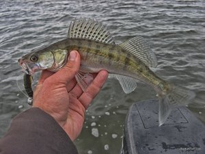 IMG_5079.JPG