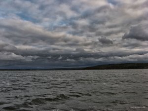 IMG_5081.JPG