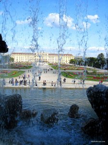 IMG_0545.JPG