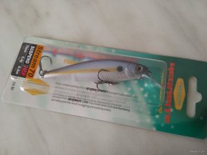 IMG_20191008_114024.jpg