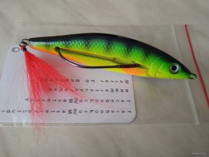 IMG_20191008_112812.jpg