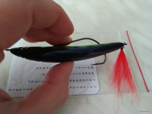 IMG_20191008_112947.jpg