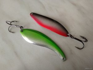 IMG_20191008_113346.jpg
