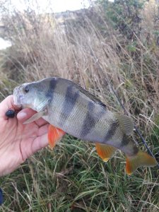20191009_095643.jpg