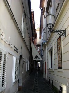 IMG_1642.JPG