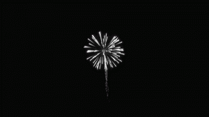 firework-gif-Favim.com-2678757.gif