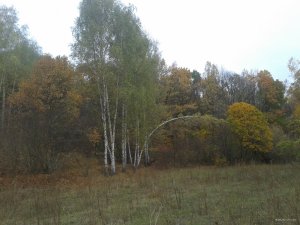 2019-10-11 09.22.35.jpg