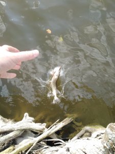IMG_20191011_134340.jpg