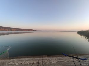 IMG_20191012_071249.jpg