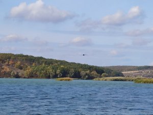 IMG_20191012_125633.jpg