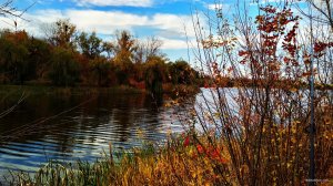 IMG_20191013_110328.jpg