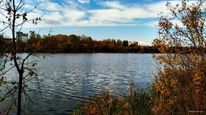 IMG_20191013_110307.jpg