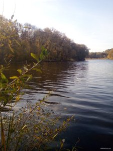 IMG_20191012_151649.jpg