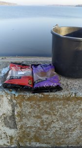 IMG_20191014_081847.jpg