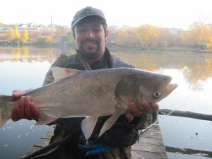 IMG_1182.JPG