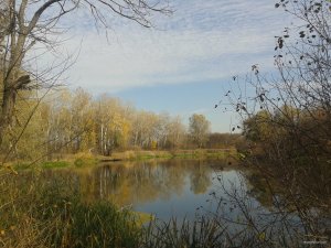 EasySelfie_20191014_111634.jpg