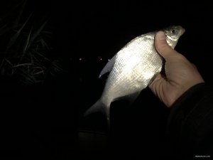 00538F5C-EF75-46E3-984B-E651A8D53E09.jpeg