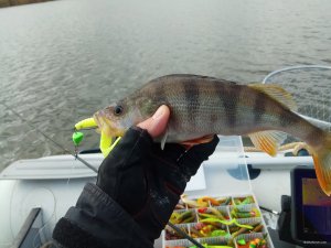 IMG_20191008_142559.jpg