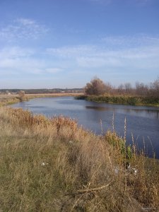 IMG_20191014_122317938.jpg