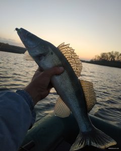 IMG_20191013_100155_811.jpg