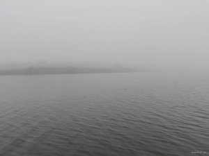 IMG_20191015_085537.jpg