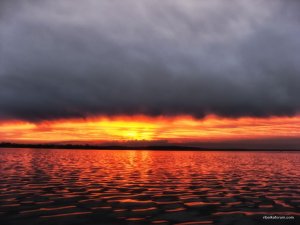 IMG_5085.JPG