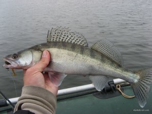IMG_5086.JPG