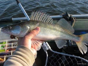 IMG_5105.JPG