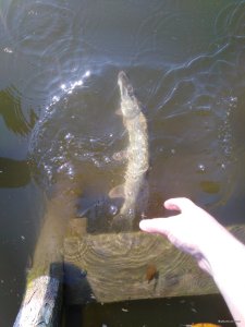 IMG_20191018_142117.jpg
