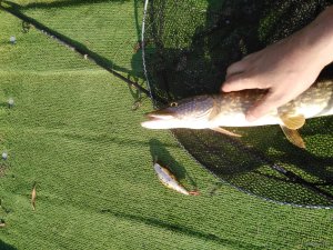 IMG_20191018_142104.jpg