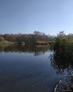 IMG_20191020_144418_002.jpg