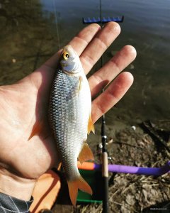 IMG_20191020_144733_523.jpg