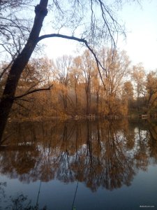IMG_20191019_170316.jpg