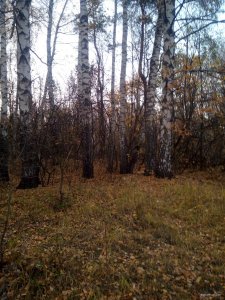 IMG_20191019_172630.jpg