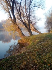 IMG_20191020_081004.jpg