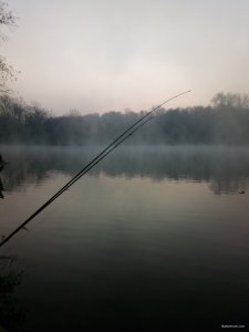 IMG_20191020_072518.jpg